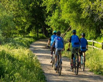 Mountain Biking Loops